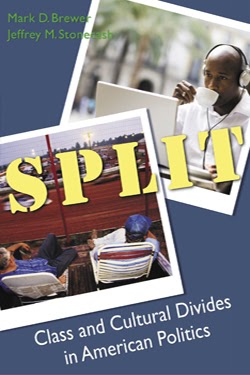 Split: Class and Cultural Divisions in American Politics