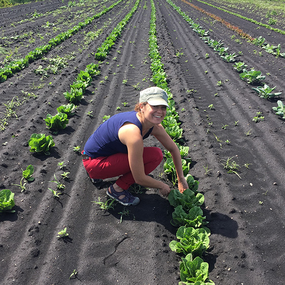 A person is crouching in a field of young lettuce plants, tending to them. The soil is dark and the plants are arranged in neat, parallel rows. The person is wearing a cap, navy top, and red pants, and is smiling at the camera.