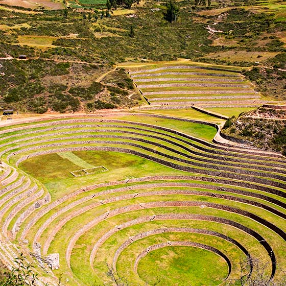 Inca agriculture