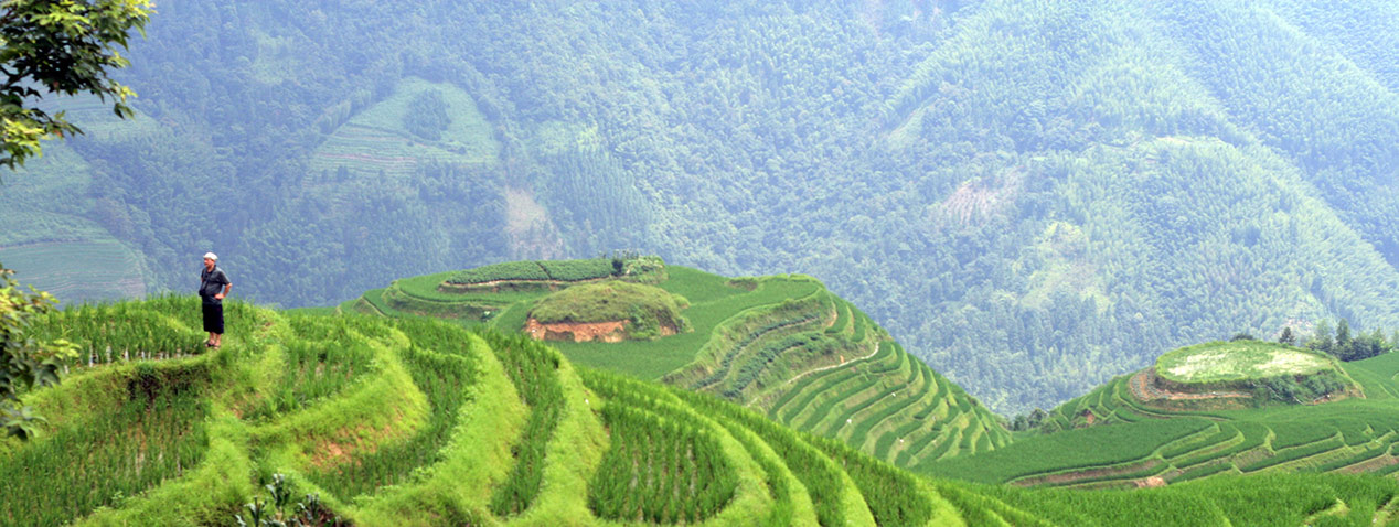 China terrace farming