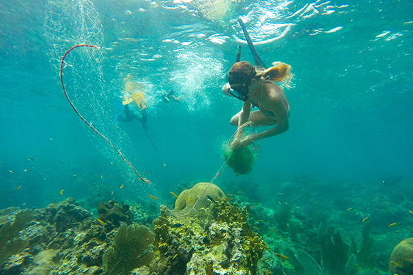 Two snorkelers swim underwater near a coral reef. They are collecting marine debris with nets. Brightly colored fish swim around them in clear blue water.
