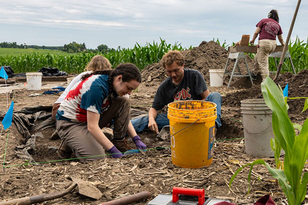 Three people kneel at an archaeological dig site, digging and sorting soil near a cornfield.