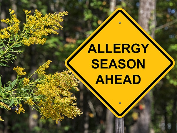 A yellow diamond-shaped road sign reads "ALLERGY SEASON AHEAD" next to flowering plants. Trees and greenery are in the background.