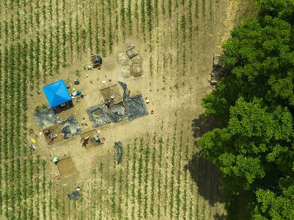 Aerial view of anthropological dig