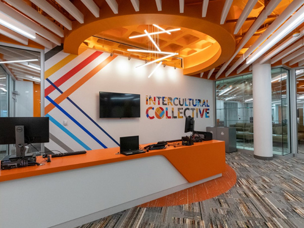 Intercultural Collective office