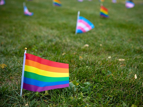 Pride and trans flags stuck in grass