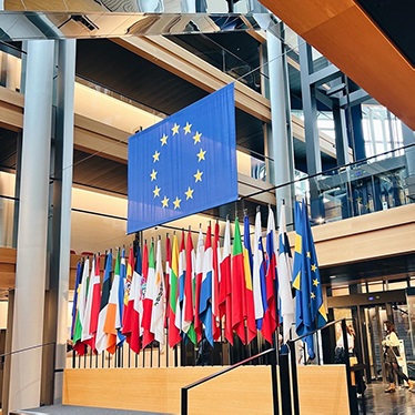 Flags in the entry of the Council of Europe